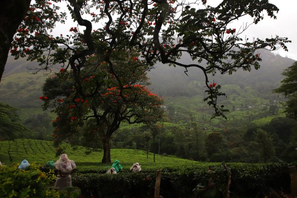 Kerala Grand Adventures