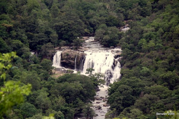 Kochi - Athirappally - Munnar - Alleppey