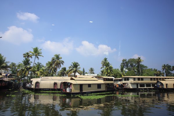 Kochi – Munnar - Alleppey (Resort/ House Boat)