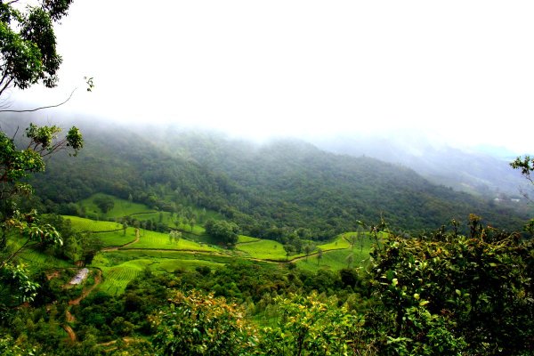 Kochi – Munnar  – Thekkady 